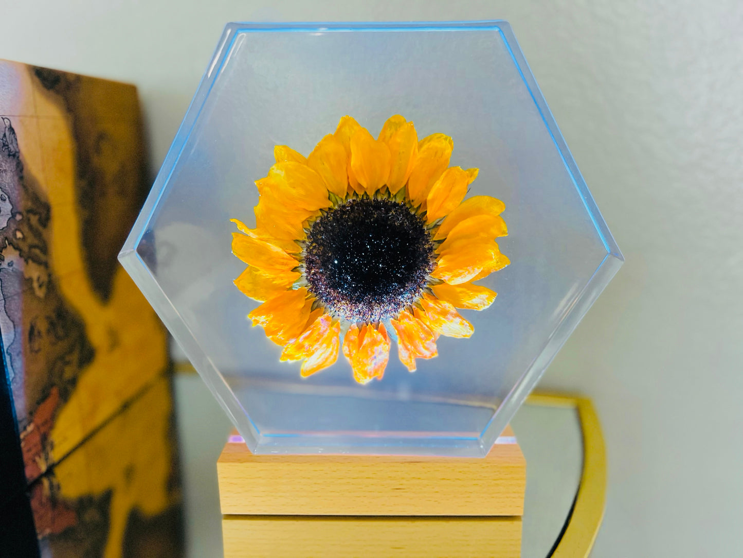 ❀ Your Preserved Flowers Encased in Resin ❀